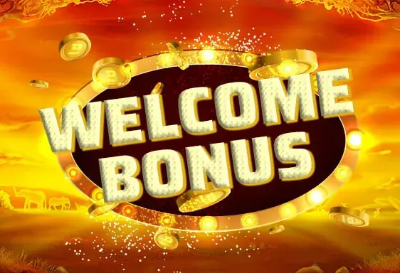 Star casino bonus de bienvenue